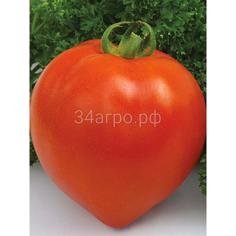 Томат Государь F1 100 семян