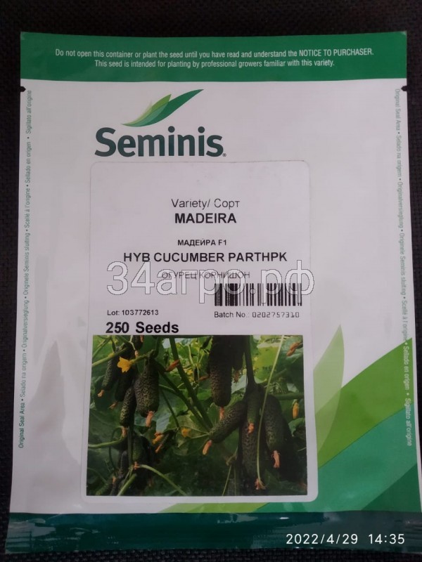 Огурец Мадейра F1 250 семян