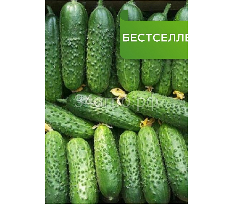 Огурец Герман F1 1000 семян