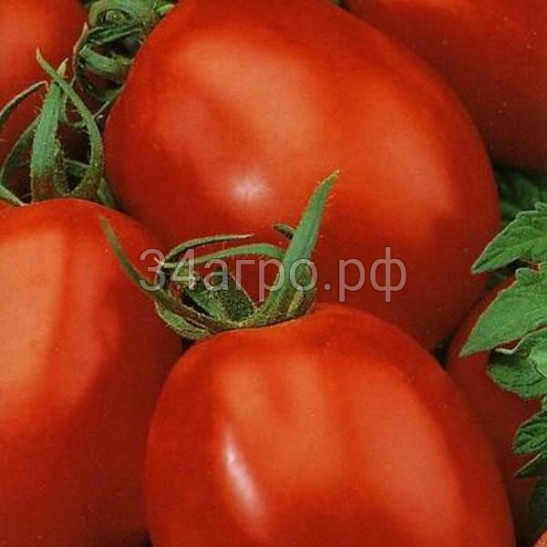 Томат Кадет 50 гр.