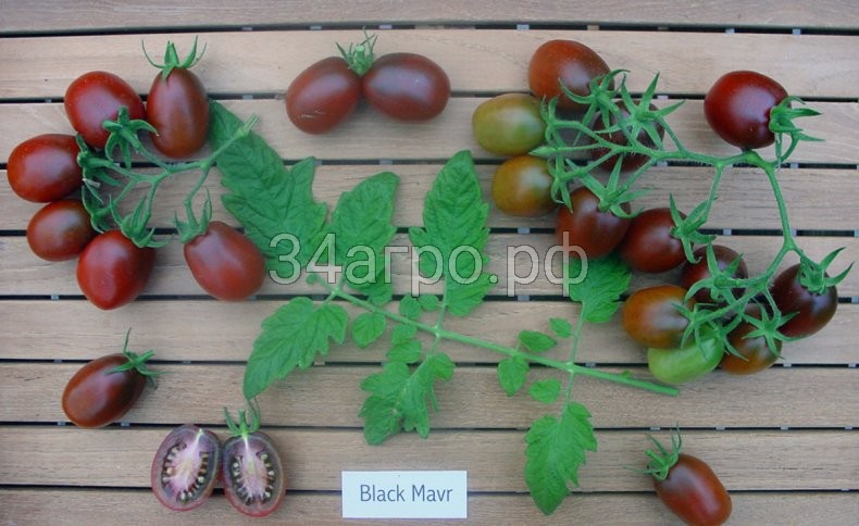Томат Черный Мавр 1 кг