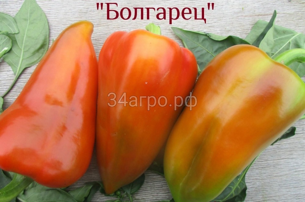 Перец Болгарец 50 гр.