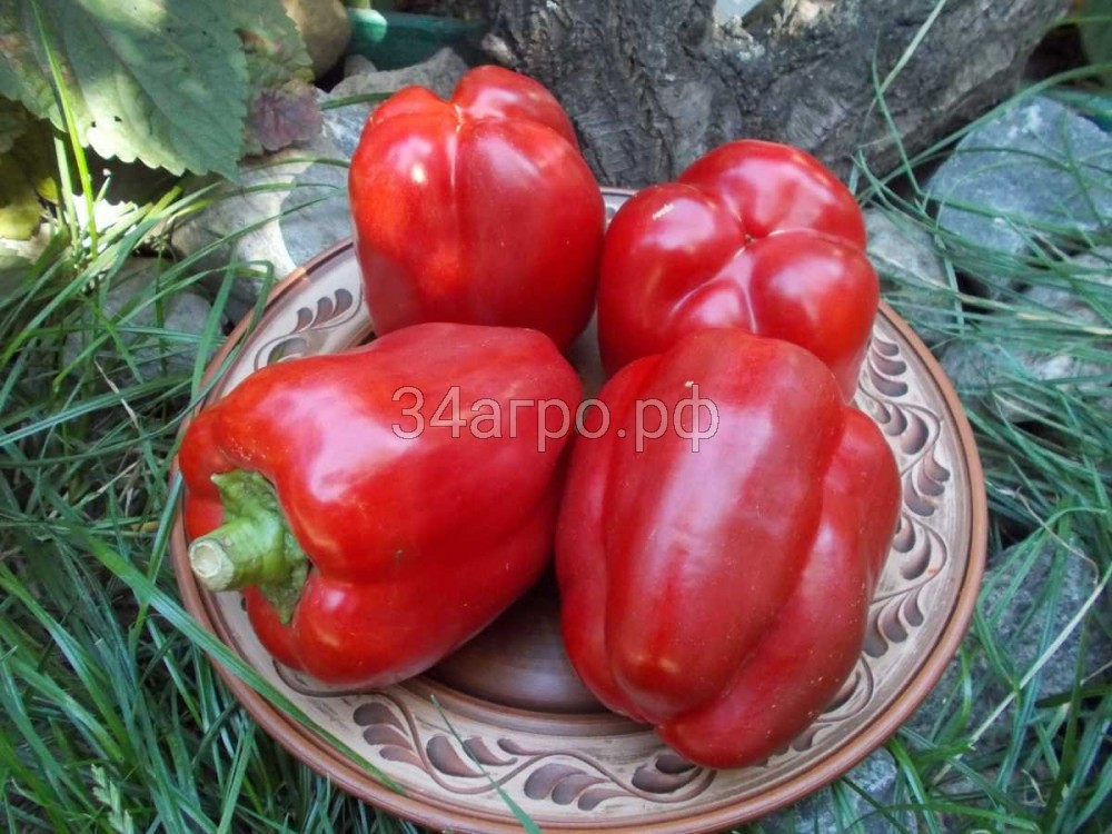 Перец Калифорнийское Чудо 50 гр.