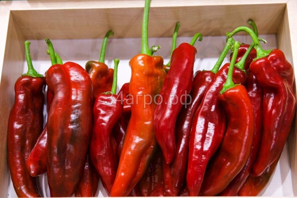 Перец Ереванский 50 гр.