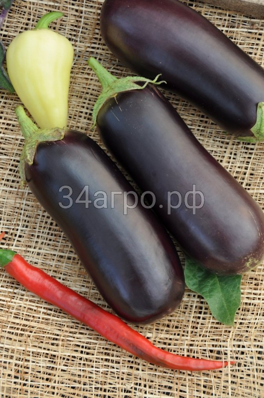 Баклажан Галич 50 гр.