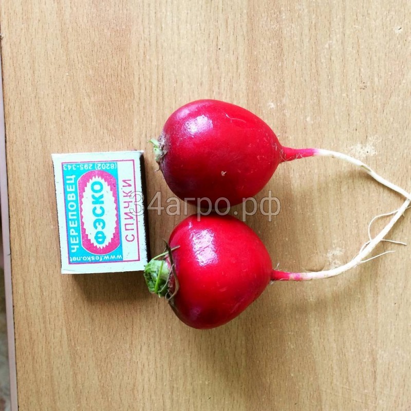 Редис Дуро Краснодарское 1 кг