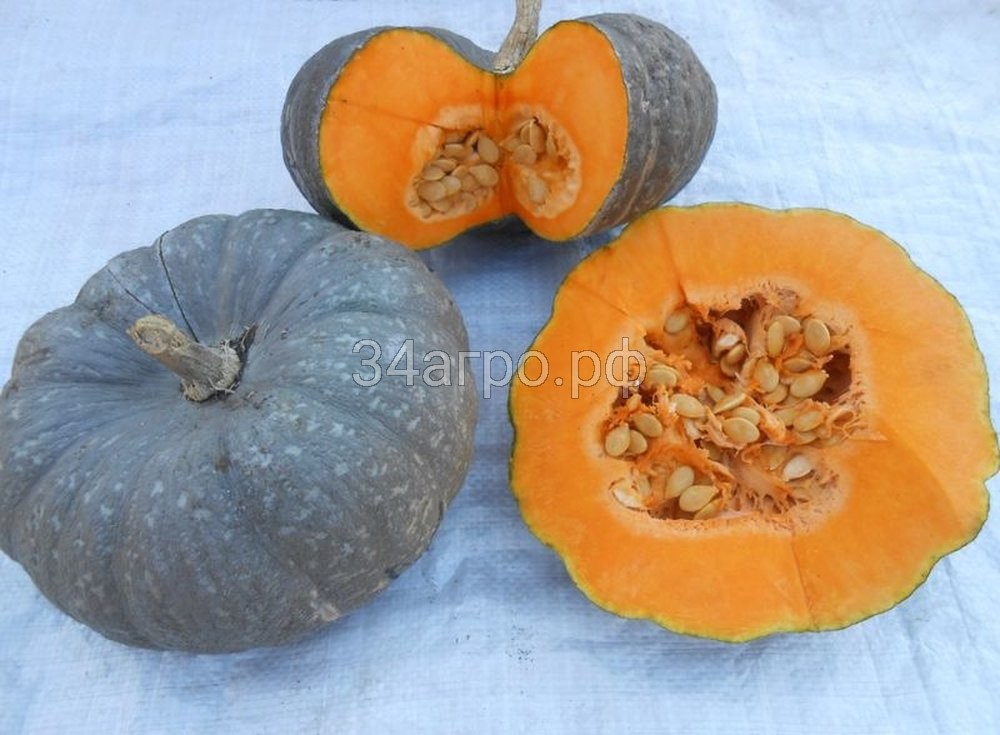 Тыква Мраморная 100 гр.