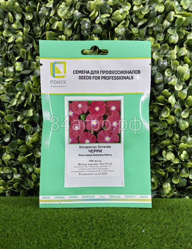 Катарантус Хитвэйв Черри 100 семян