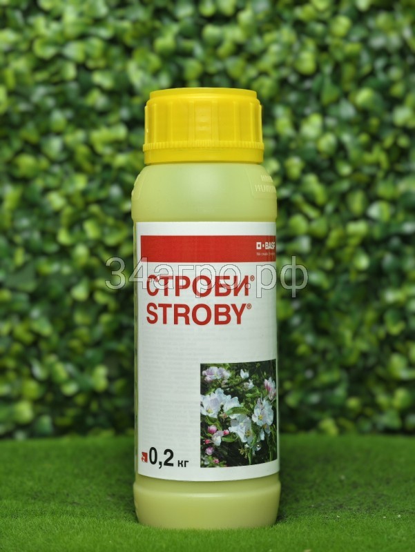 Фунгицид Строби 200 гр.
