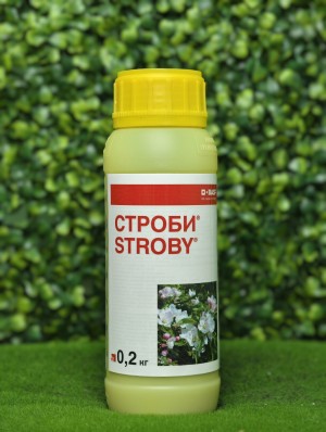 Фунгицид Строби 200 гр.
