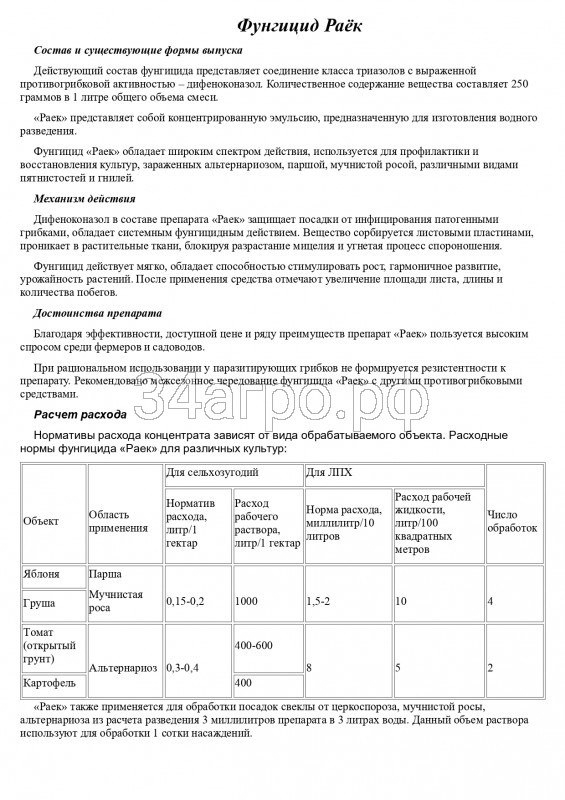 Фунгицид Раёк 1 л