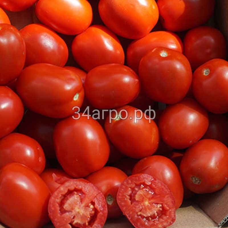 Томат ЖАГ 8810 F1 50 семян