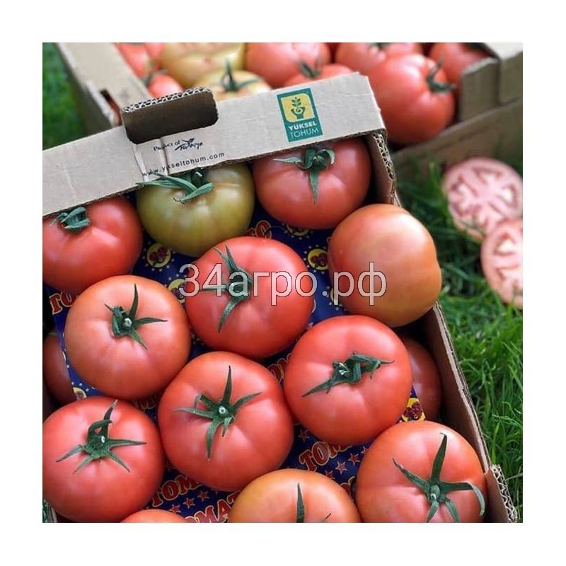 Томат Пинк Нагетс F1 100 семян