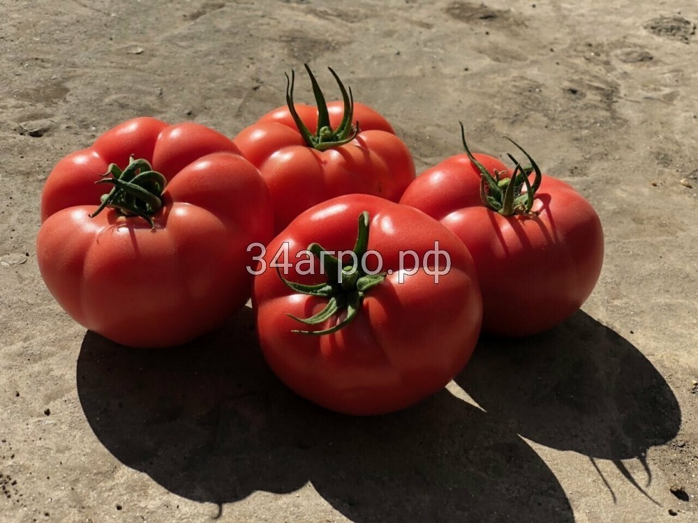 Томат Эрай F1 (Пинк Хит) 50 семян