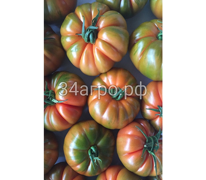 Томат Ред Кой F1 50 семян