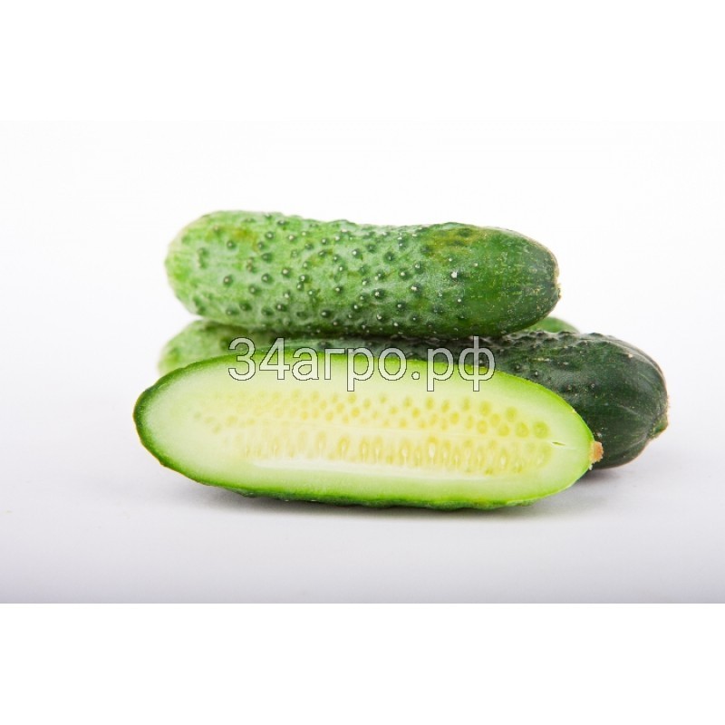 Огурец Меренга F1 100 семян