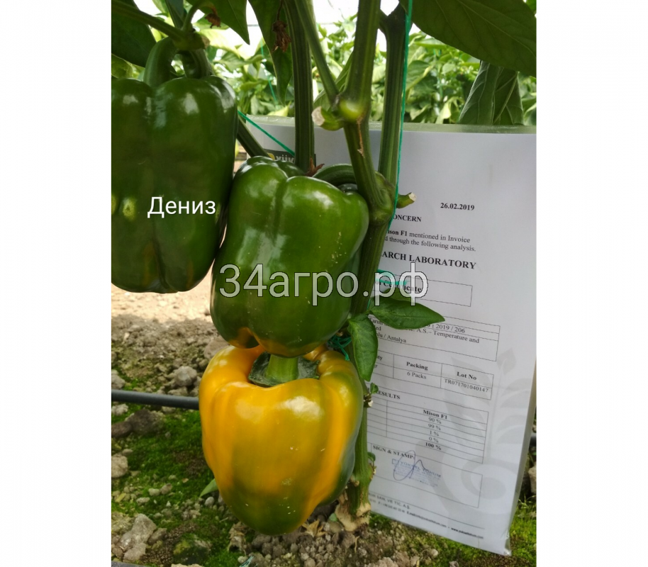 Перец сладкий Дениз F1 25 семян