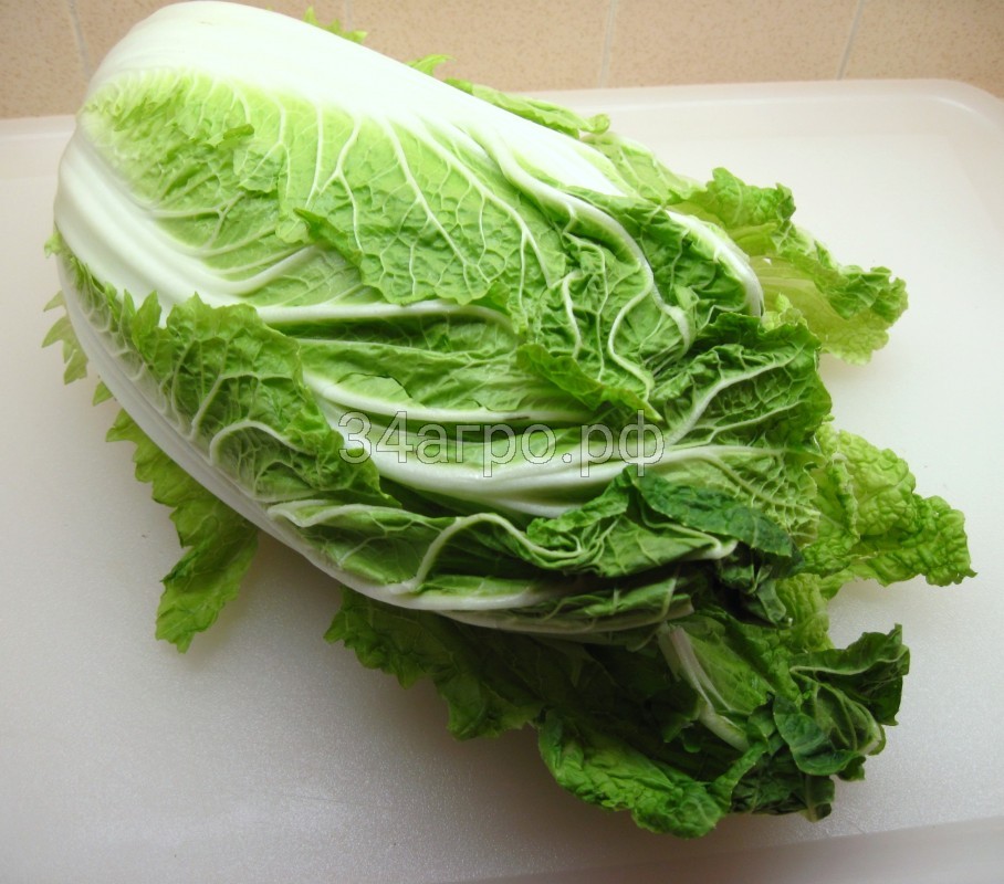 Капуста пекинская Зеленый брилиант 100 семян