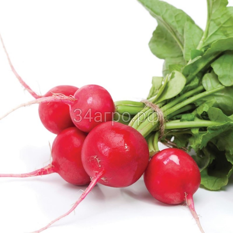 Редис Селеста F1 50 гр.