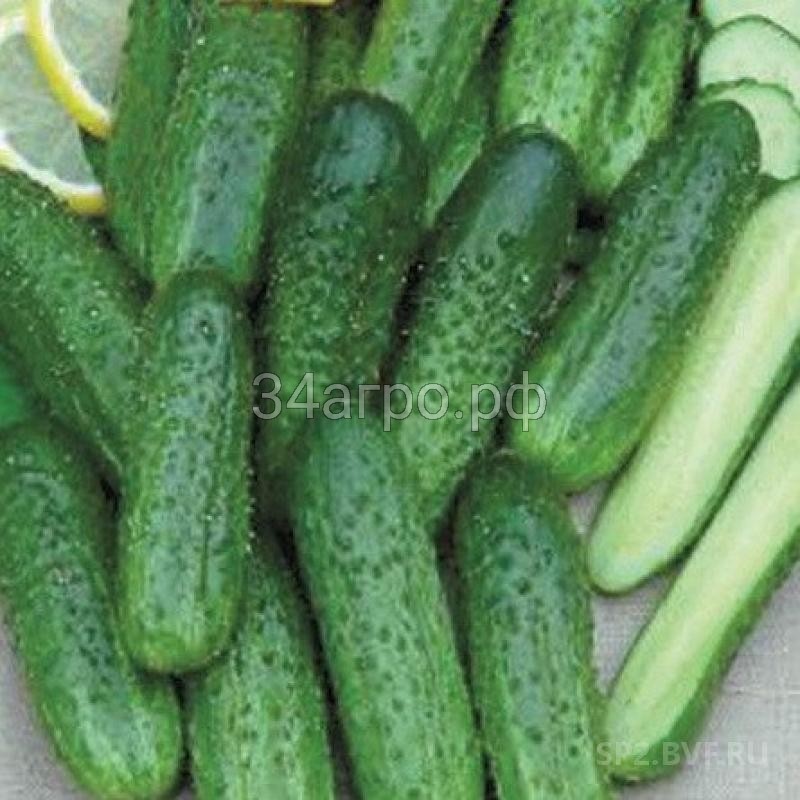 Огурец Донской Пассаж F1 10 гр