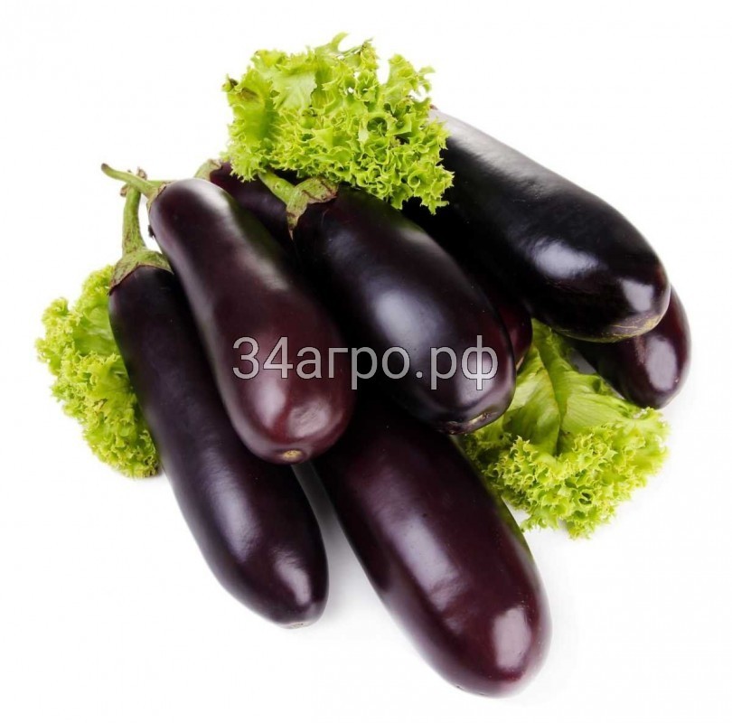 Баклажан Фарама F1 50 семян