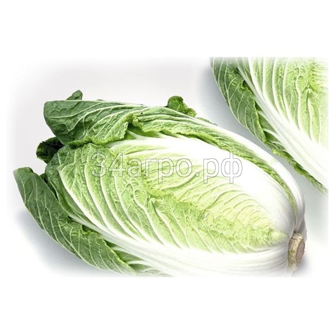 Капуста пекинская Айкидо F1 50 семян