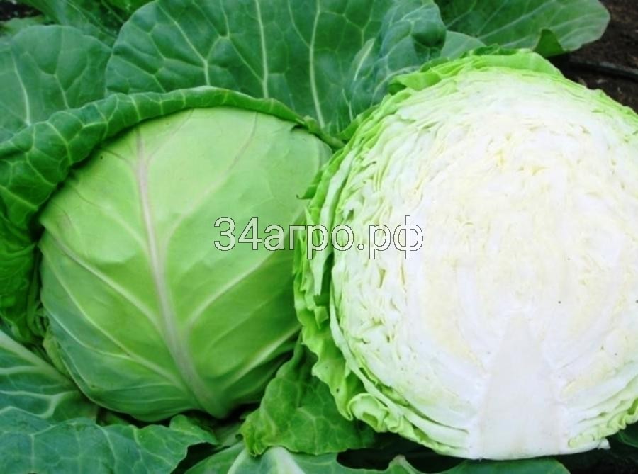 Капуста Июньская 50 гр