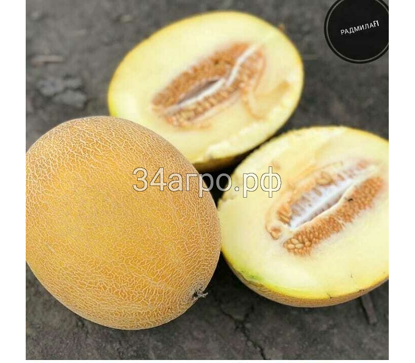 Дыня Радмила F1 50 семян