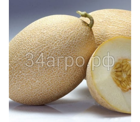 Дыня Мирон F1 1000 семян