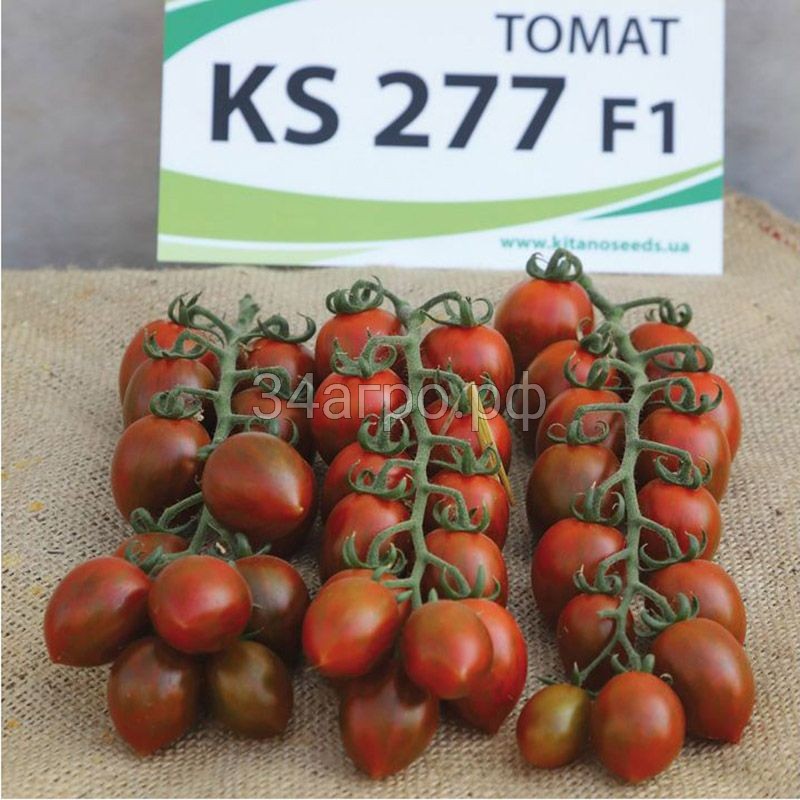 Томат KS 277 F1 25 семян