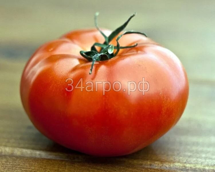 Томат Султан F1 50 семян