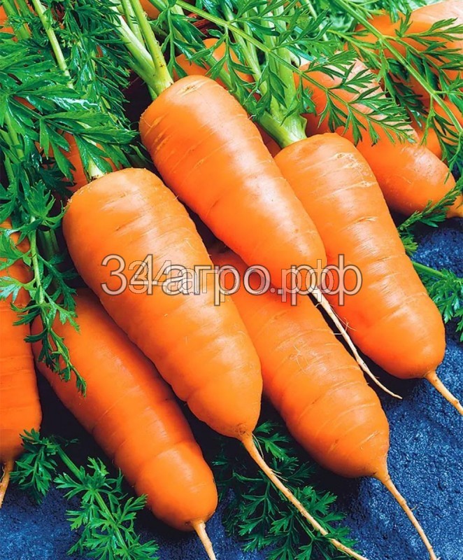 Морковь Шантанэ Королевская 20 гр.