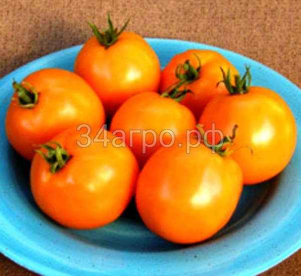 Томат Мандарин оранжевый 100 гр