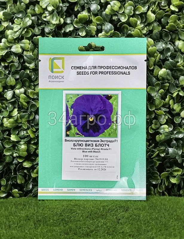 Виола крупноцветковая Экстрада Блю виз Блотч 100 семян