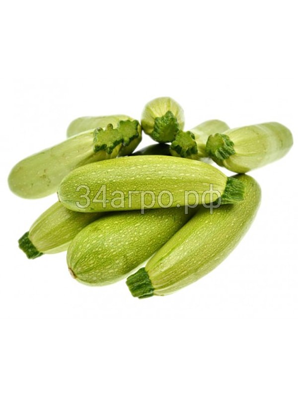 Кабачок Корнишонный 1 кг