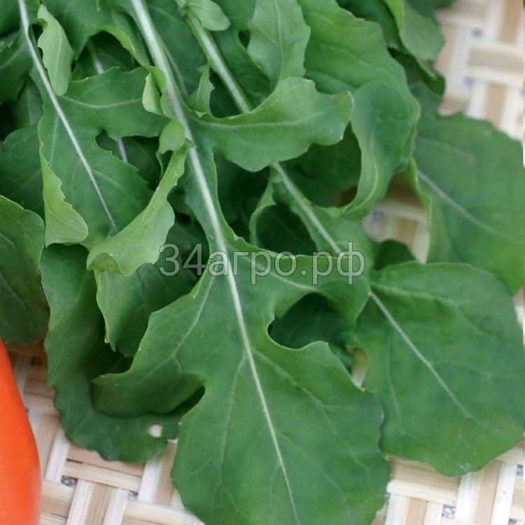 Рукола Корсика 20 гр