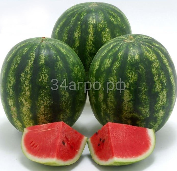 Арбуз Скиф F1 100 семян