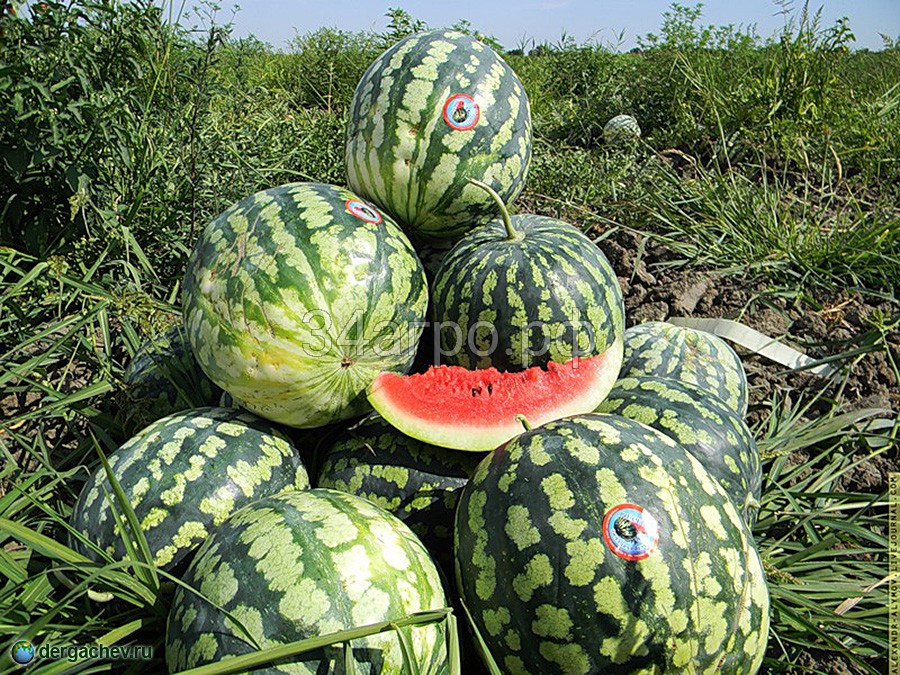 Арбуз Астраханский 500 г