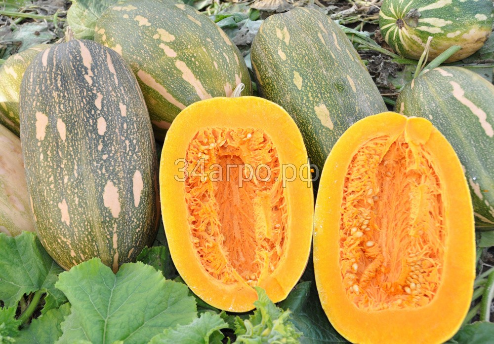 Тыква Витаминная 50 гр