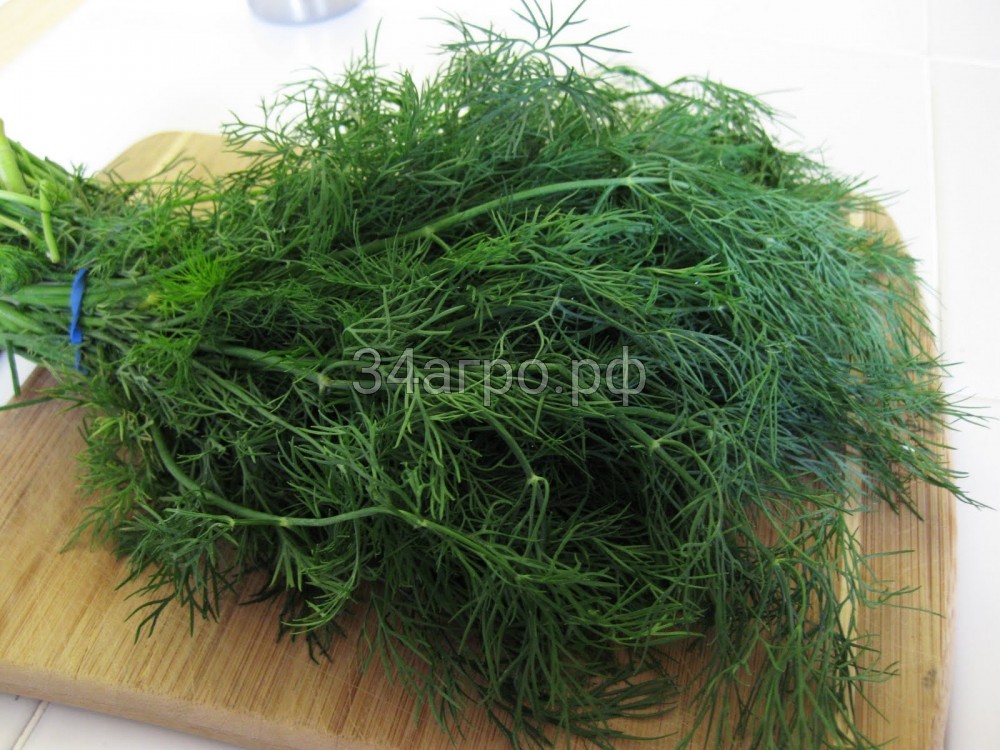 Укроп Мамонт 50 гр.