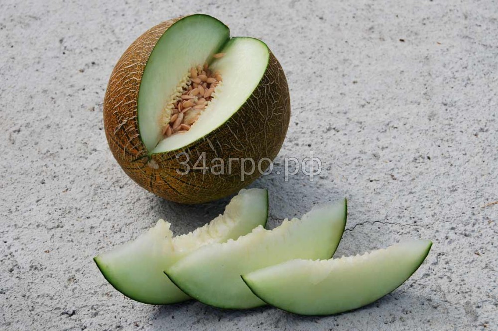 Дыня Славия 100 гр.