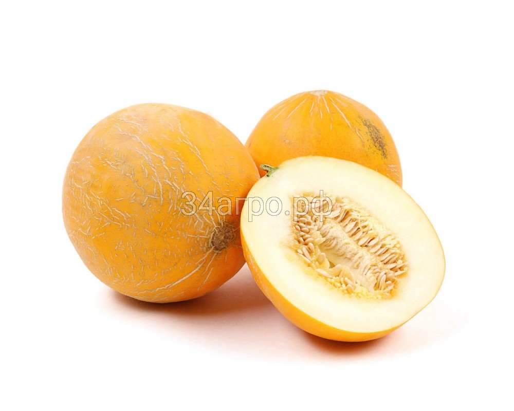 Дыня Колхозница 749/753 100 гр.