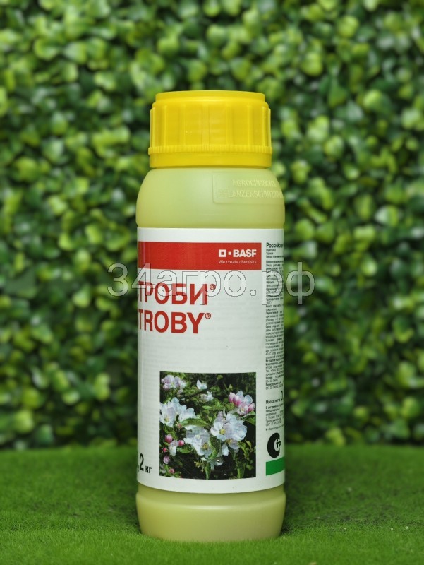 Фунгицид Строби 20 гр.