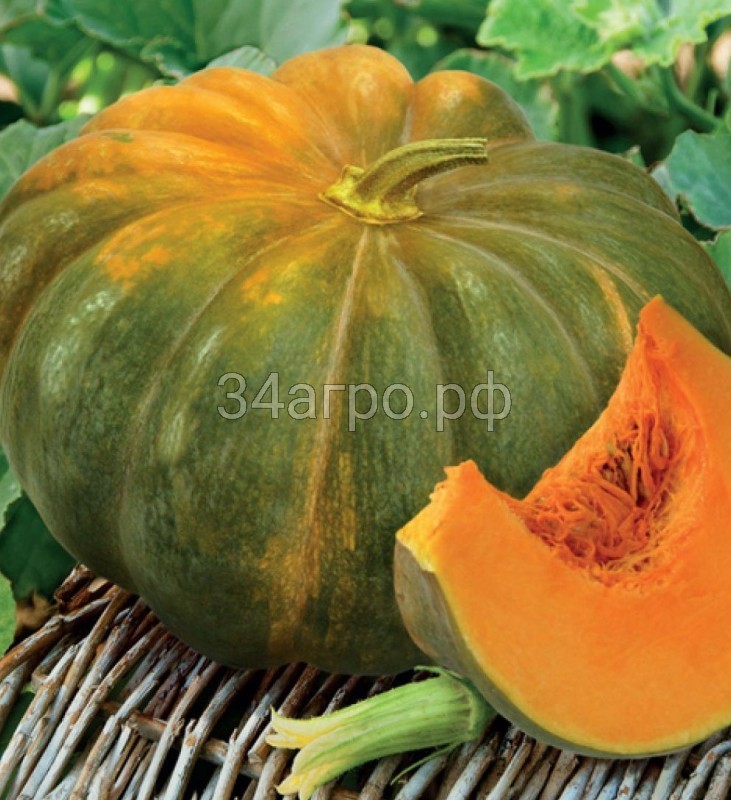 Тыква мускатная Мускадэ агро 1кг.