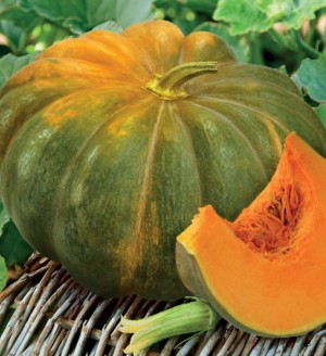 Тыква мускатная Мускадэ агро 1кг