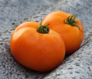 Томат Оранжевы статус F1 (М-10) 1 гр.