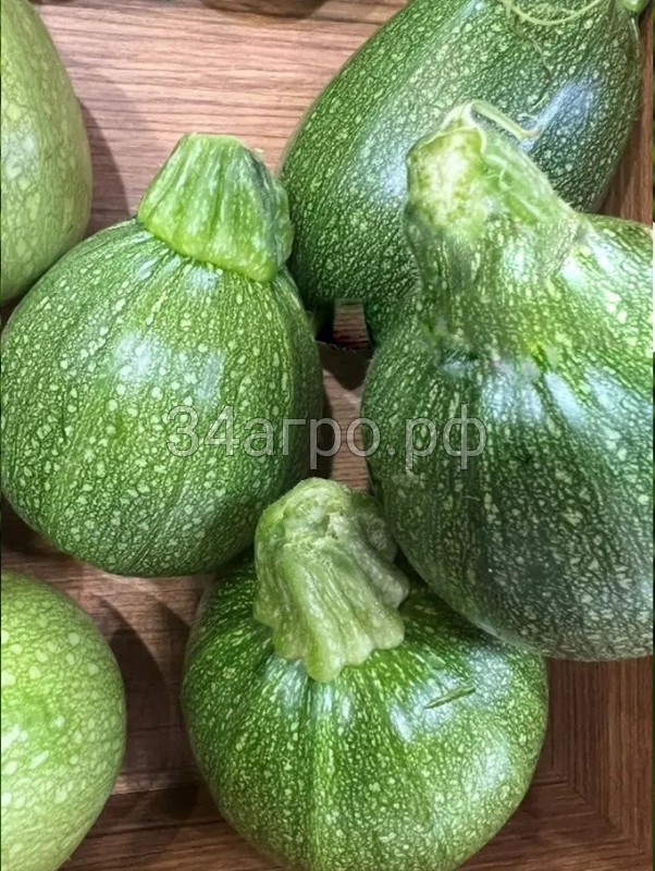 Кабачок (круглый тёмно-зеленый) Мариса F1 250 семян