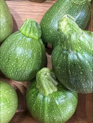 Кабачок (круглый тёмно-зеленый) Мариса F1 250 семян