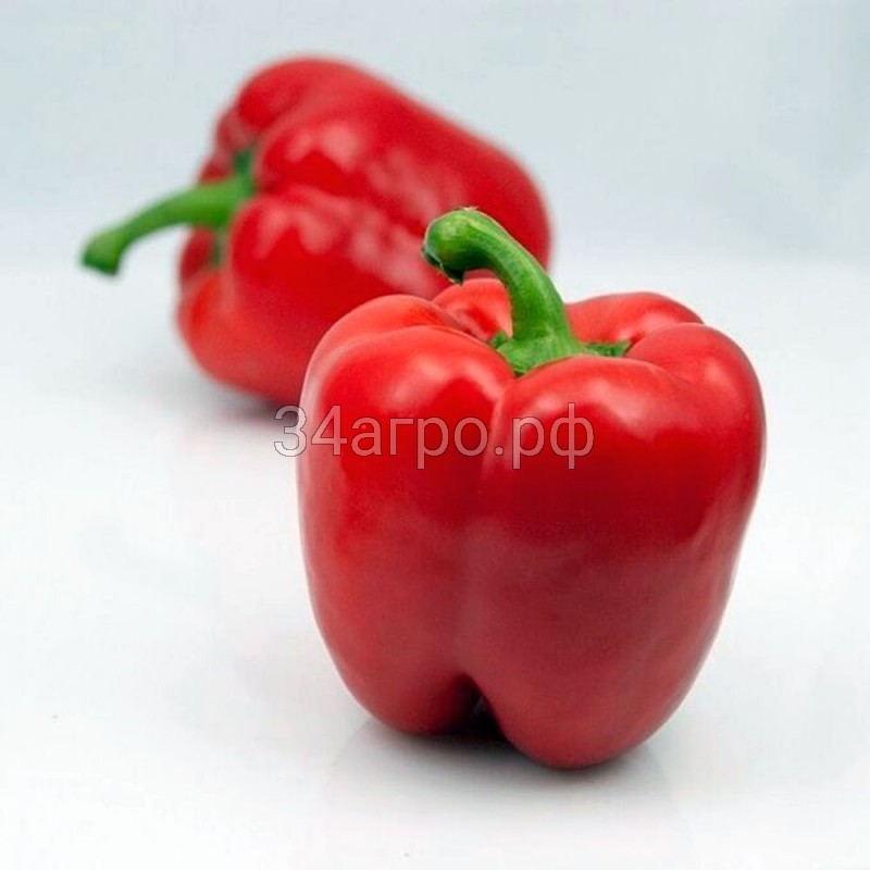 Перец Катан F1 100 семян