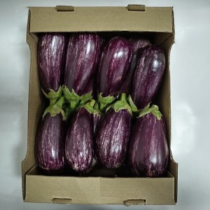 Баклажан ЕГ20003 F1 (EG20003 F1) 100 семян